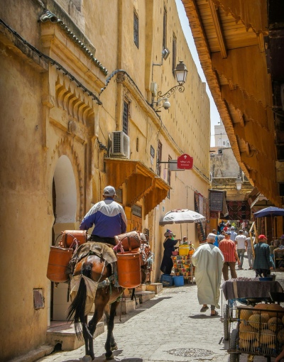 Day Trip From Casablanca to Fes (4)