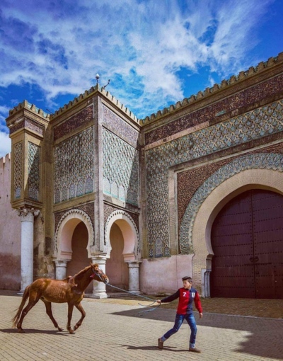 Day Trip From Casablanca to Meknes and Volubilis (4)