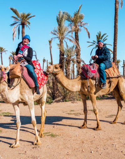 Marrakech Camel Ride (4)
