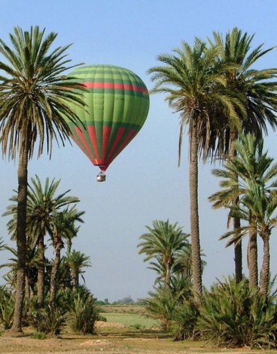 Marrakech Camel Ride (5)
