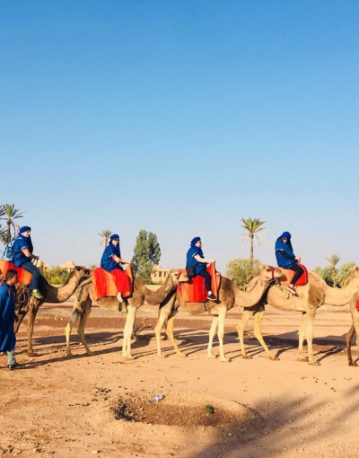 Marrakech Camel Ride (7)