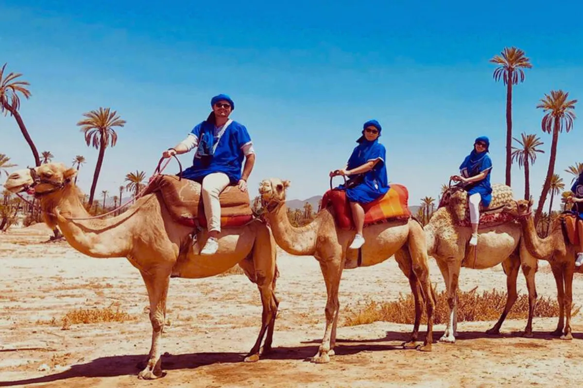 Marrakech Camel Ride