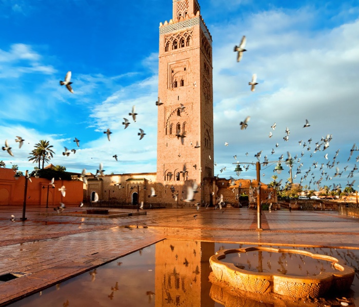 Marrakech Day Trip from Casablanca