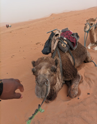 Mhamid 2 Days Desert Tour from Marrakech (6)