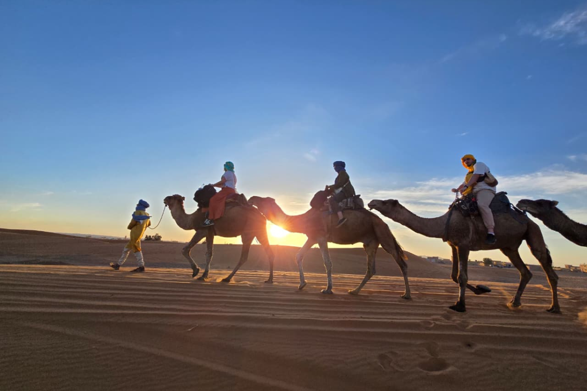 Desert Tour from Ouarzazate