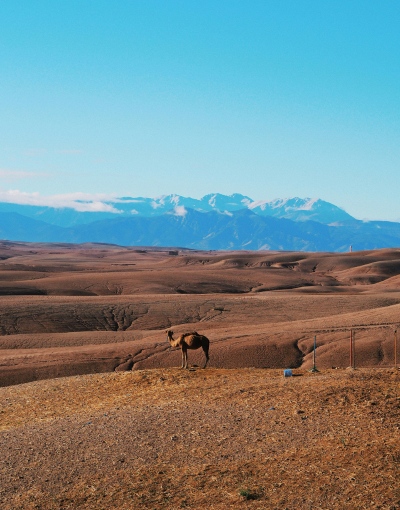 Agafay Sahara magical sunset guided Tour from Marrakech (3)