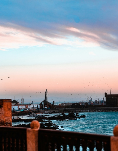 Day Trip from Marrakech to Essaouira (7)