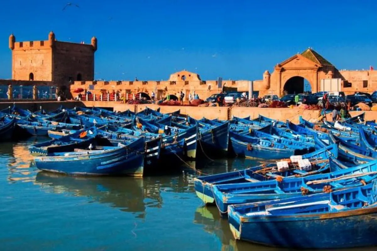 Best Day Trip from Marrakech to Essaouira