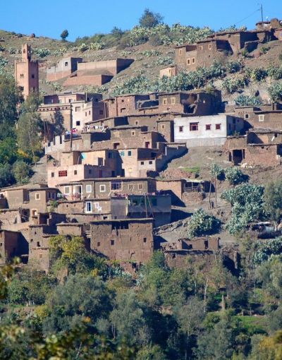 Day trip to Atlas Mountains, Ourika Valley and Berber Villages (2)