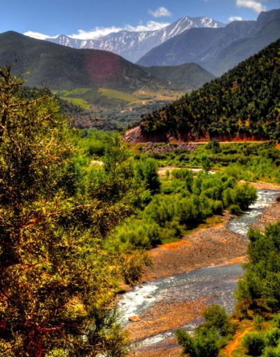 Day trip to Atlas Mountains, Ourika Valley and Berber Villages (4)