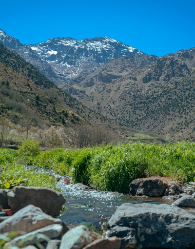 Day trip to Atlas Mountains, Ourika Valley and Berber Villages (6)