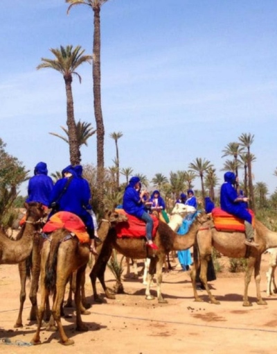 Marrakech Camel Ride