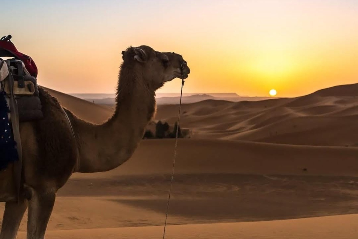 last 7 Day Morocco Itinerary from Marrakech