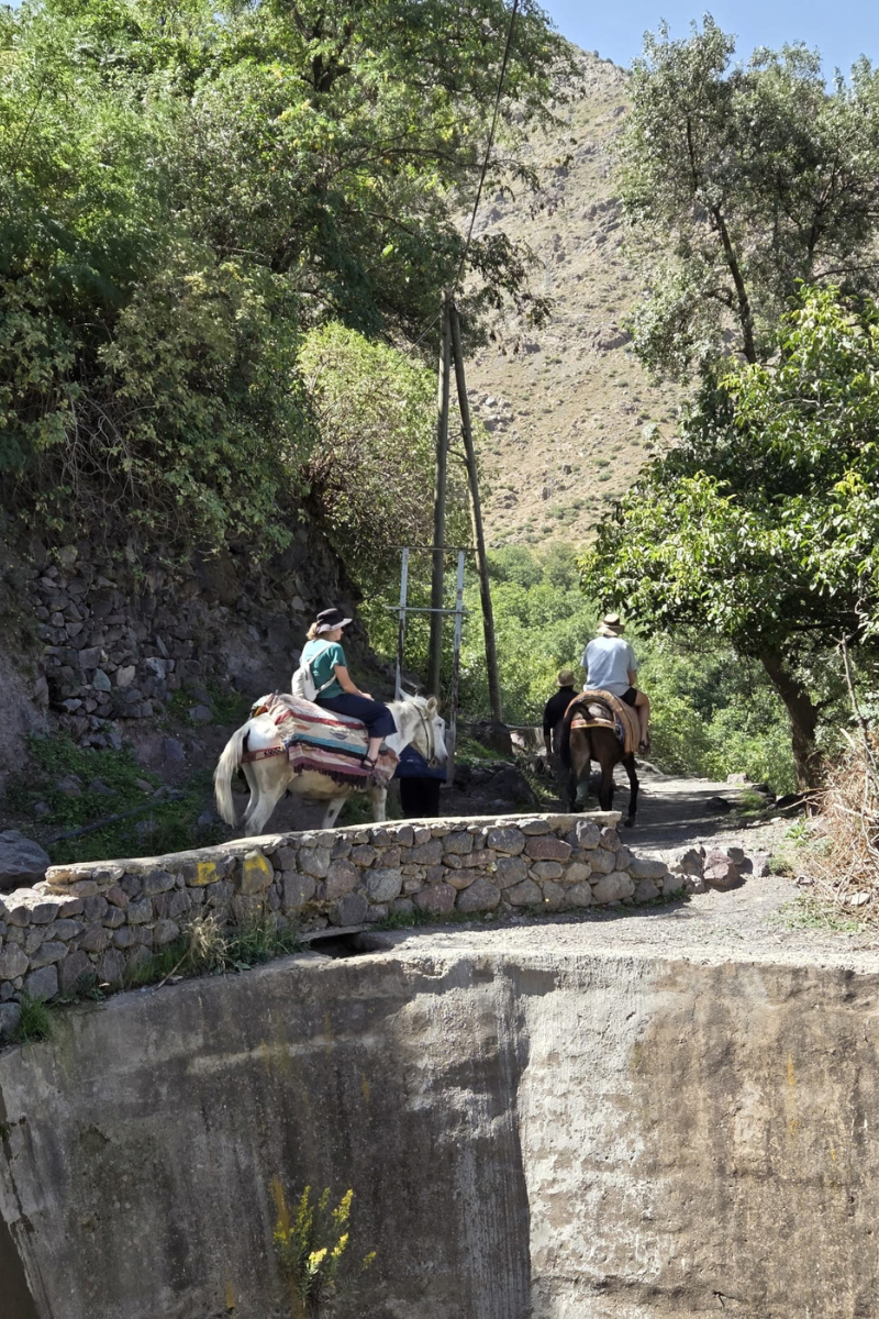 Mount Toubkal 3-Day Trek from Marrakech (15)